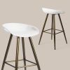 Bak Bar & Counter Stool (Set of 2) - White & Gold