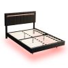 Queen Size Floating Bed Frame with LED Lights and USB Charging,Modern Upholstered Platform LED Bed Frame,Black