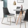 Modern Dining Chairs Set of 2;  Velvet Upholstered Side Chairs with Golden Metal Legs for Dining Room Furniture