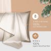 Silk Pillowcase for Hair and Skin 1 Pack, 100% Mulberry Silk & Natural Wood Pulp Fiber Double-Sided Design, Silk Pillow Covers with Hidden Zipper (sta